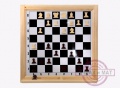 Демонстрационные шахматы
