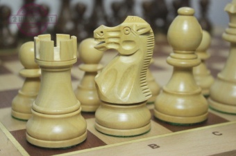 Шахматный ларец "Элит бук" с индийскими фигурами