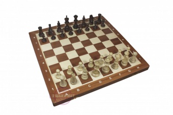 шахматы турнирные