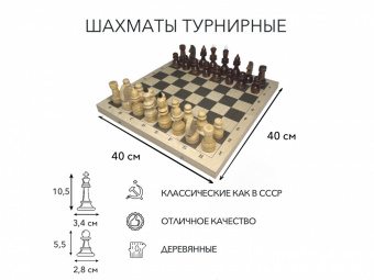 Шахматы турнирные