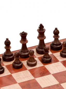 Шахматы магнитные 24,5х24,5