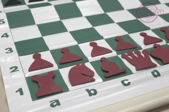 шахматы демонстрационные 