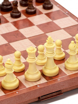 Шахматы магнитные 24,5х24,5