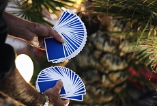 House of Playing Cards