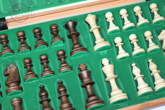 шахматы турнирные