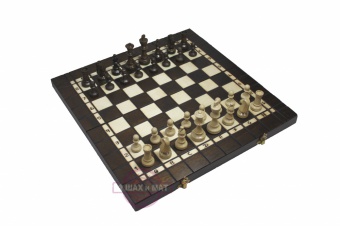 3 в 1: шахматы, нарды, шашки со львом 40х40