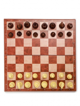 Шахматы магнитные 24,5х24,5