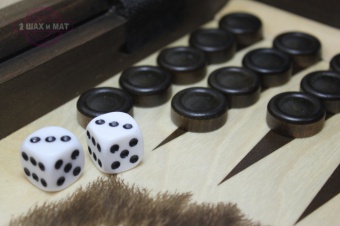 3 в 1: шахматы, нарды, шашки со львом 40х40