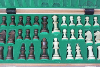 шахматы турнирные