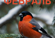 Режим работы ФЕВРАЛЬ!