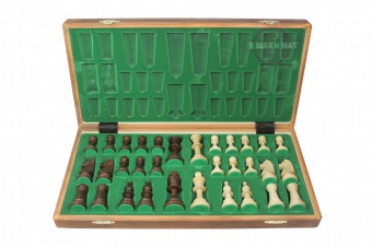 шахматы турнирные