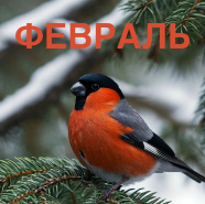 Режим работы ФЕВРАЛЬ!